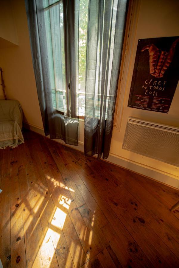 Le Refuge Cérétan, grand et bel appartement mansardé en plein centre Esterno foto